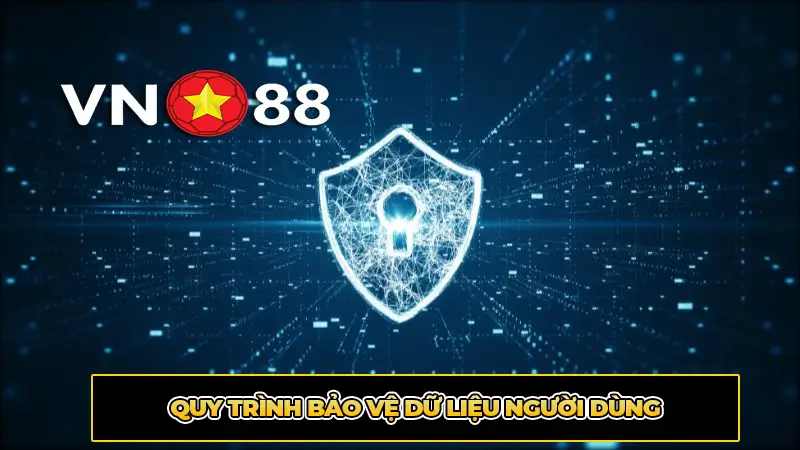Quy trình bảo vệ dữ liệu người dùng