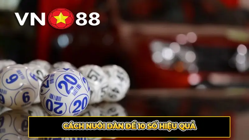 Cách nuôi dàn đề 10 số hiệu quả